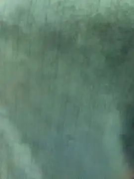 Nooran noona online show from 01.07.26