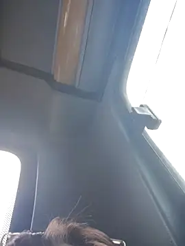 Cataleya 16 online show from 04.01.26