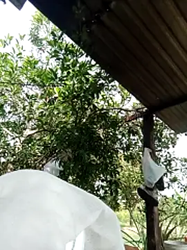 -Nicole-e online show from 02.10.26