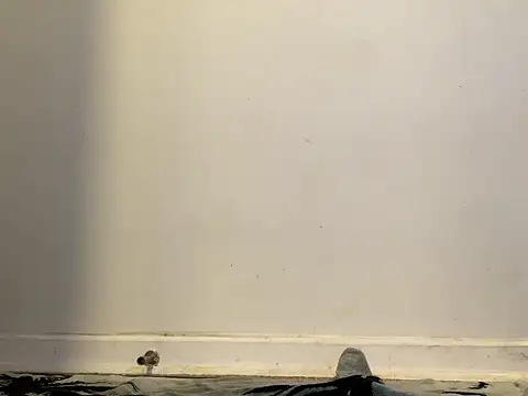 AnnoyedAnnual online show from 01.15.26