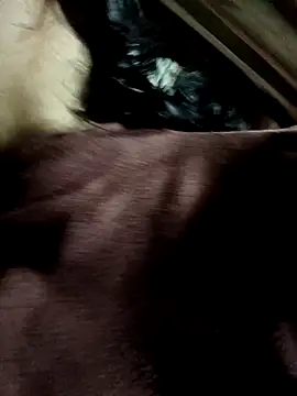 yu--yo online show from 03.21.26