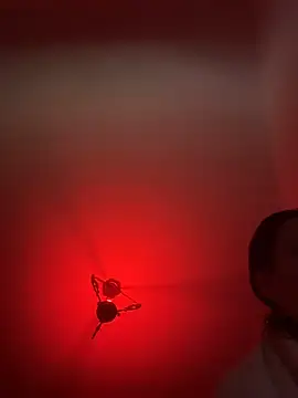 witchdub online show from 02.24.26