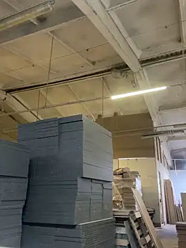 Dildogang online show from 03.04.26