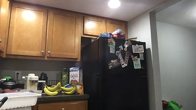 bottombeargaming online show from 01.14.26