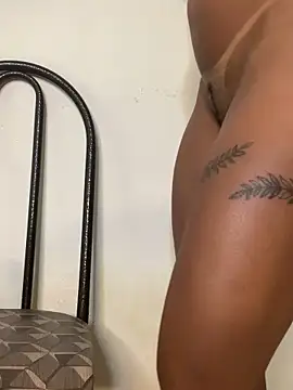 gatadaacademia online show from 02.13.26