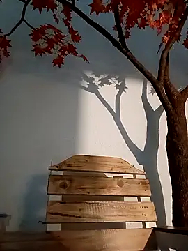 Dante Knox online show from 03.26.26