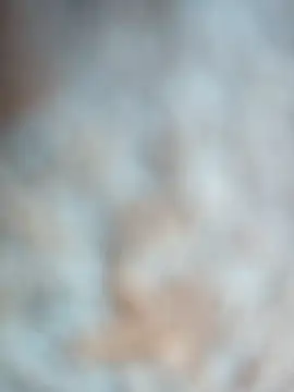 talytah online show from 02.19.26