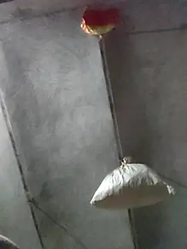 kulwantj online show from 01.18.26