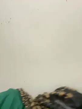 Snapshot of diosa_sofia19 chatting on 04.06.26 diosa sofia19 online show from 04.06.26