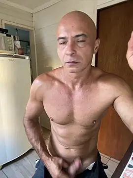 dogfrota online show from 02.09.26