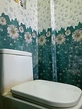 Snapshot of vaanavil chatting on 10.22.25 vaanavil online show from 10.22.25