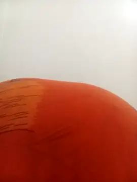 Snapshot of PatriciaVen chatting on 02.09.26 PatriciaVen online show from 02.09.26