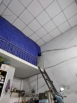 Famrita online show from 01.19.26