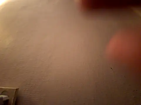 DanekBear online show from 04.14.26