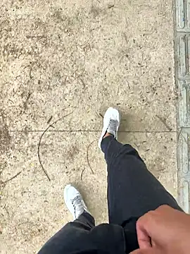 Novinho Pauzudo 18cm online show from 02.24.26