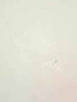 piccolo2002 online show from 04.27.26