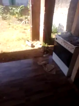 jhon Danda online show from 01.17.26