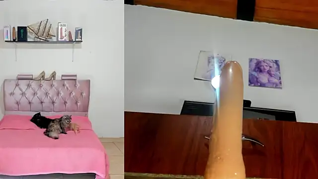 harper funny online show from 04.20.26