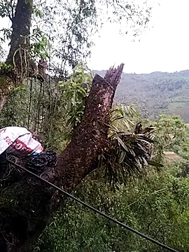 lia-coy online show from 04.19.26