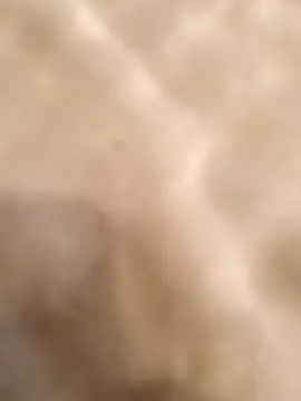 Snapshot of testmailx75 chatting on 02.23.26 testmailx75 online show from 02.23.26