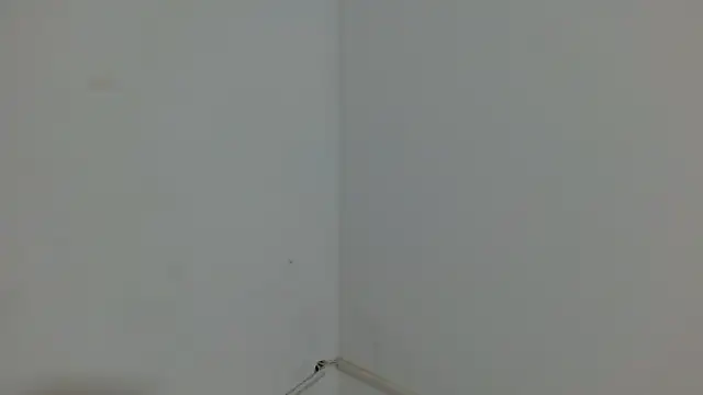 princess1609 online show from 03.04.26