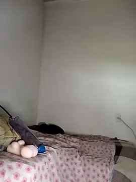 gatodepauduro online show from 04.18.26