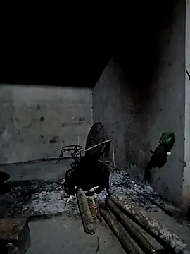 cutebobi online show from 04.04.26