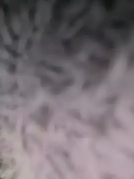 Puka2001 online show from 03.02.26