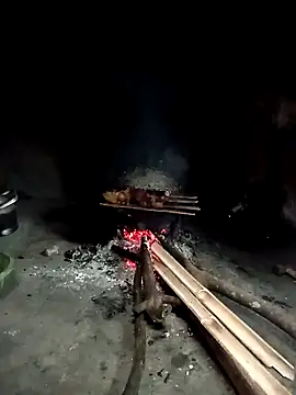 Hoa-tuylip online show from 04.16.26