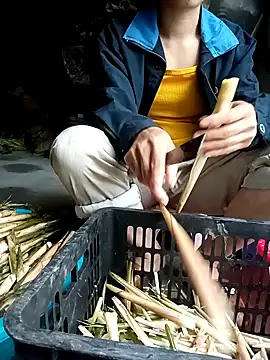 Hayaya11 online show from 03.17.26