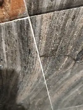 Bengal Tiger420 online show from 04.17.26