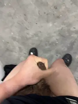 Wvpppp online show from 03.03.26