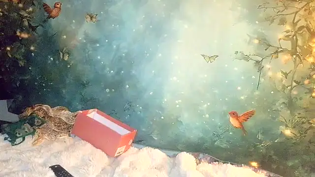 Blondie the librarian online show from 04.21.26