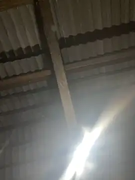 bikhidj online show from 04.21.26