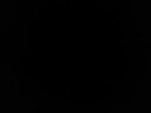 plTop40 online show from 03.11.26