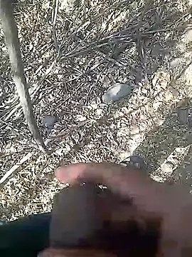 Snapshot of Cute_Boy_4 chatting on 02.23.26 Cute Boy 4 online show from 02.23.26