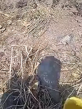 Cute Boy 4 online show from 03.20.26