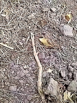 Cute Boy 4 online show from 04.07.26