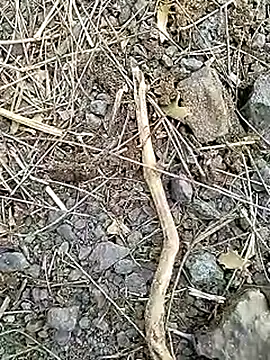 Cute Boy 4 online show from 04.08.26