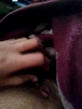 Snapshot of crazyxy12 chatting on 02.12.26 crazyxy12 online show from 02.12.26