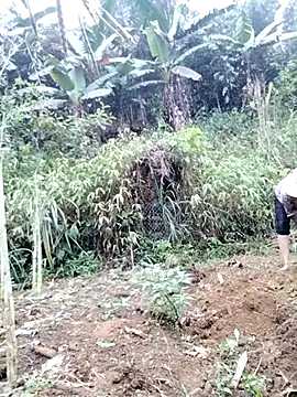 Tina-beo online show from 04.18.26