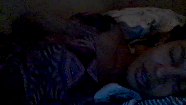 lorraine2036 online show from 02.17.26