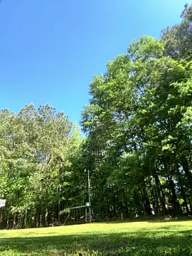 magic man1085 online show from 04.18.26