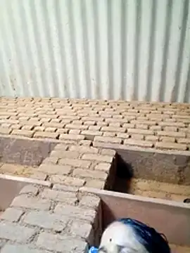 Lucky couple-1 online show from 04.19.26