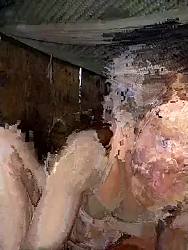 Snapshot of Bella-222 chatting on 03.02.26 Bella-222 online show from 03.02.26