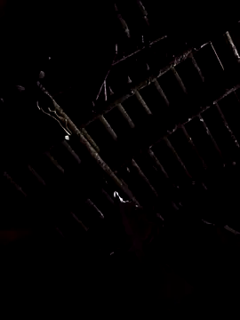 alex callmemaybe69 online show from 02.09.26