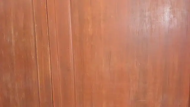 Sophiia88 online show from 02.18.26