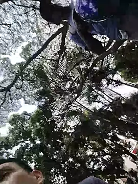 rejypool online show from 04.11.26