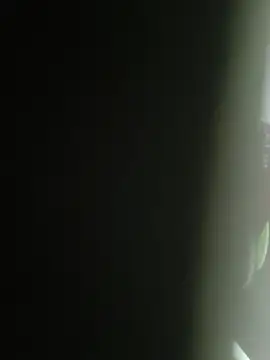 Gordinho dos pes online show from 02.25.26