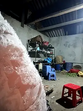 baby 112233 online show from 03.30.26